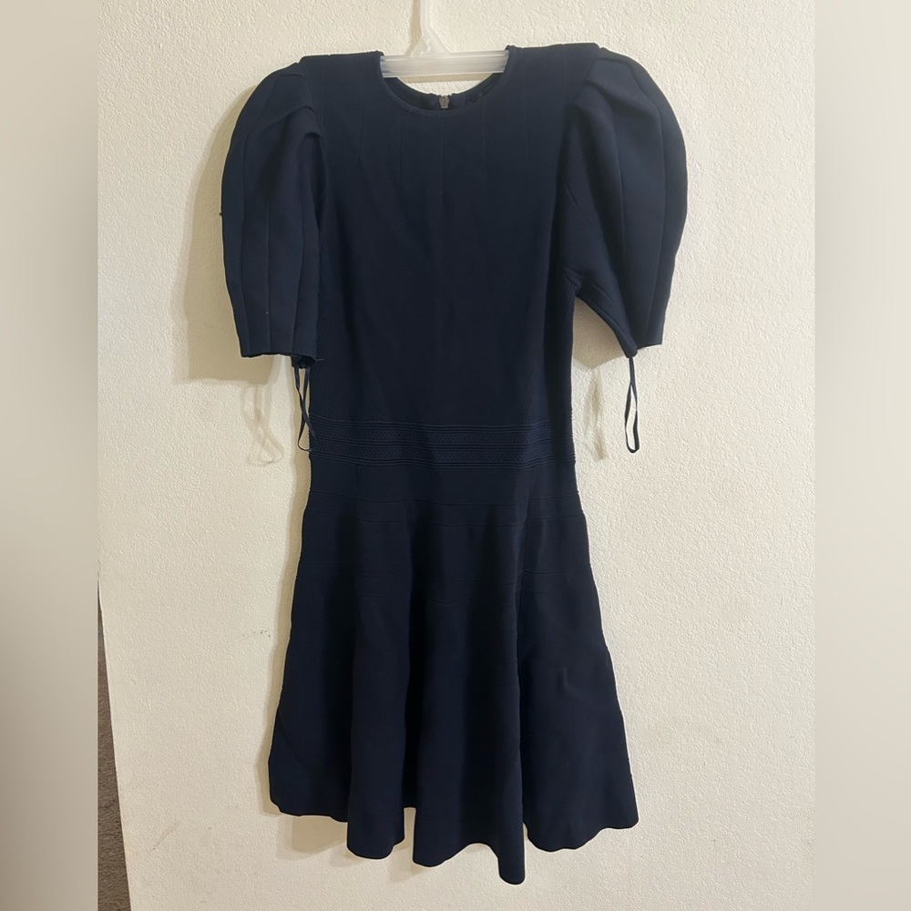 Ted Baker Women's Navy Puffed Sleeve Engineered Skirt Dress Flare Formal Party